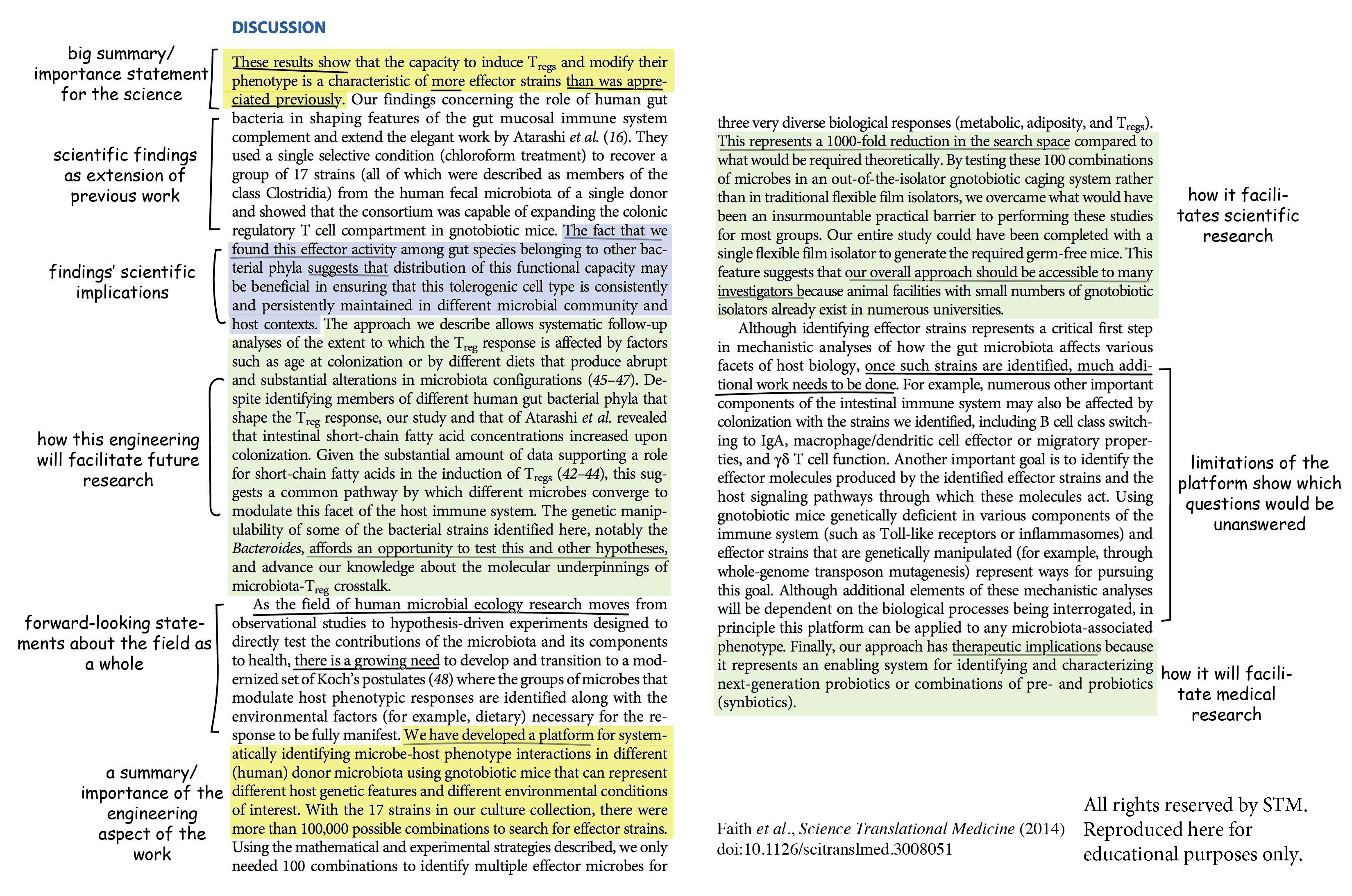 words to use in dissertation discussion